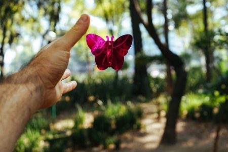 person's hand about to catch a pink butterfly toy at daytime